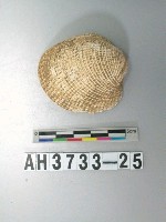 藏品(貝殼)的圖片